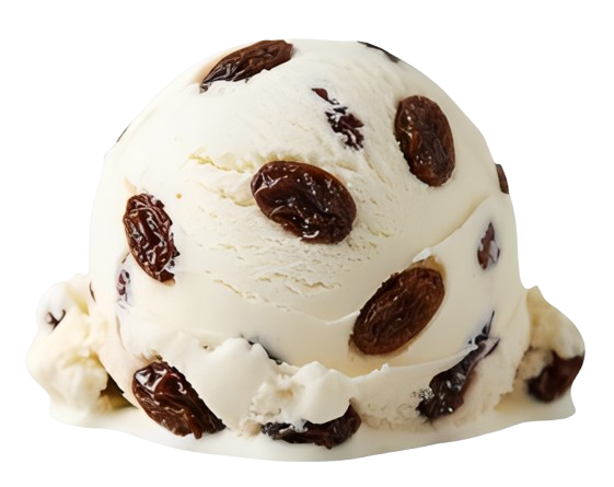 Rum Raisin